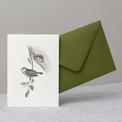 Blue Tit Greeting Card+Envelope, Nature Lover Gift