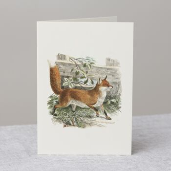 Carte de voeux renard + enveloppe, carte vintage 2