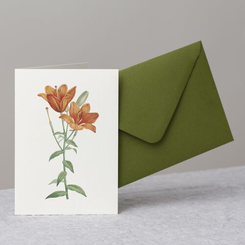 Orange Lily Greeting Card+Envelope
