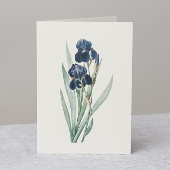 Carte de vœux Iris violet + enveloppe 2