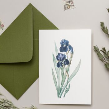 Carte de vœux Iris violet + enveloppe 3