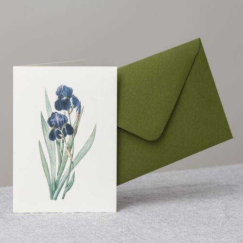 Purple Iris greeting card+envelope