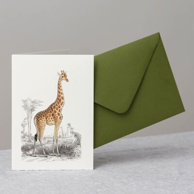 Giraffe Greeting Card+Envelope