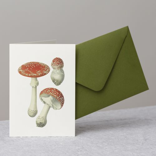 Fly Agaric Mushroom Greeting Card+Envelope