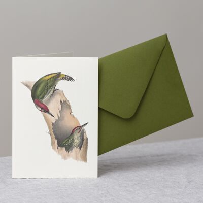 Green Woodpecker Greeting Card+Envelope