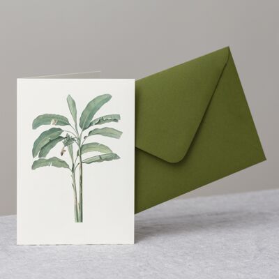 Banana Tree Greeting Card+Envelope, tropical gift