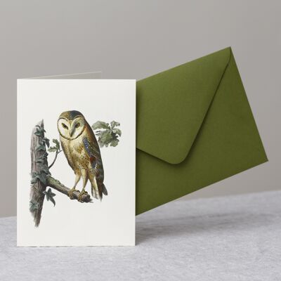 Barn Owl Greeting Card+Envelope