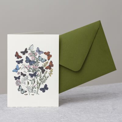 Butterflies Greeting Card+Envelope, Gossamer Winged