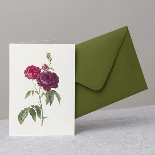 Vintage Rose Greeting Card+Envelope, Eveque