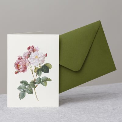 Vintage Rose Greeting Card+Envelope, Damask