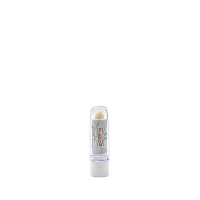 Lip stick in olive oil evo - 1 piece