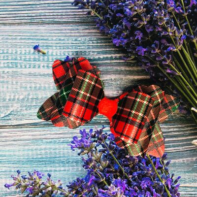 Tartan Eden Bow