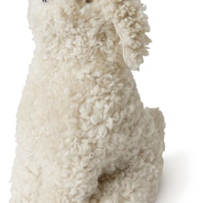 Family dog Snowy curly sheepskin_Pearl