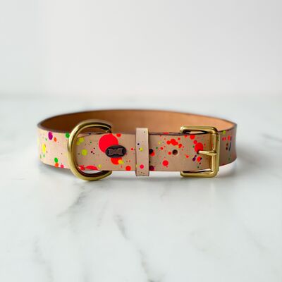 Paint Box Leather Dog Collar - Small