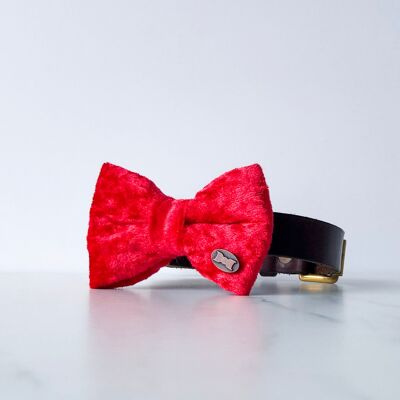 Bold Red Velvet Bow Tie - Small