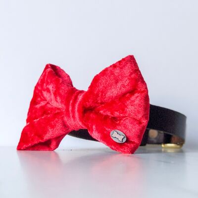 Bold Red Velvet Bow Tie - Large