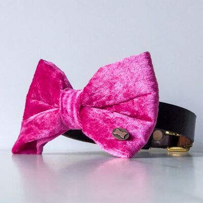 Pink Pop Velvet Bow Tie - Large