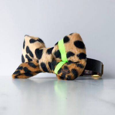 Yellow Neon Leopard Dog Bow Tie - Large