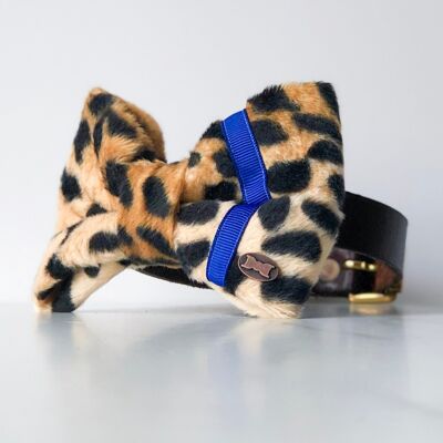 Blue Neon and Leopard Print Dog Bow Tie - Large