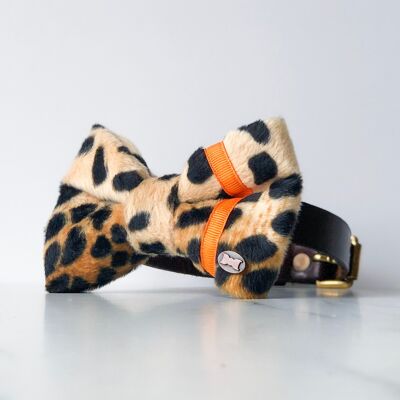 Orange Neon and Leopard Print Dog Bow Tie - Large