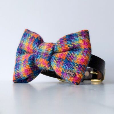 Tandy Rainbow Harris Tweed Bow Tie
