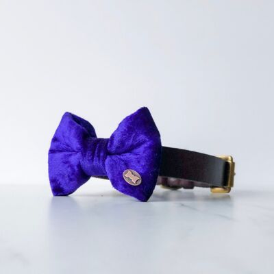 Purple Pomp Velvet Dog Bow Tie