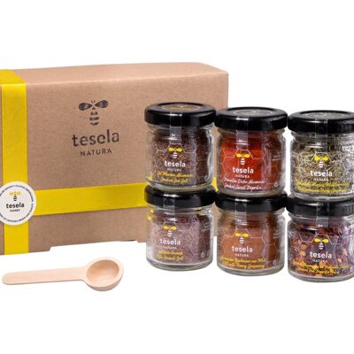 TESELA Premium BBQ Spices & Salts Pack - 6x50g