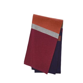 Foulard rayé rouge / violet 2