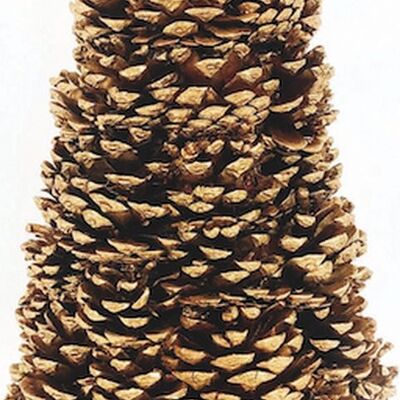 Kerstboom - dennenappels | 40cm | sfeervolle kerst decoratie vervaardigd uit dennenappels | Décoratif kunst kerstboom | Goud