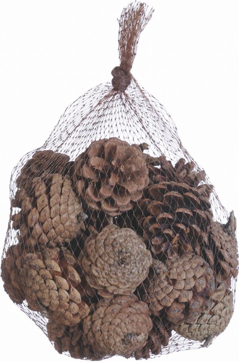 Naturno Natale - Decoratieve dennenappels in een zak van 500 gram | ca ø 18 cm | echte dennenappels | Fai da te Kerststuk fai da te | Decoro Kerst | Bruin