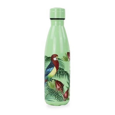 Insulated bottle Perroquet - Botanical Garden - 500ml