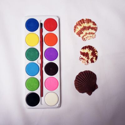 Kit de pintura de conchas