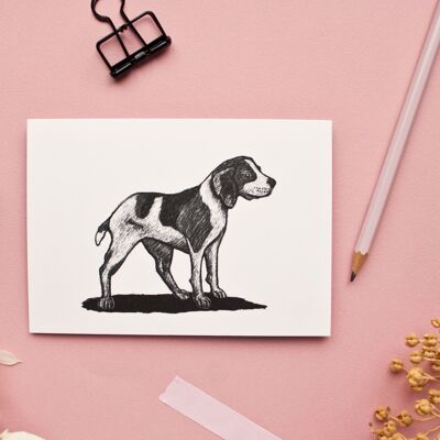 Postkarte | Beagle