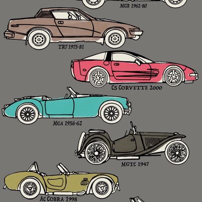 Classic Cars Wallpaper – Grau – mehrfarbig – Rolle