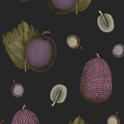 Papier Peint Fruits Tropicaux - Figue - Échantillon