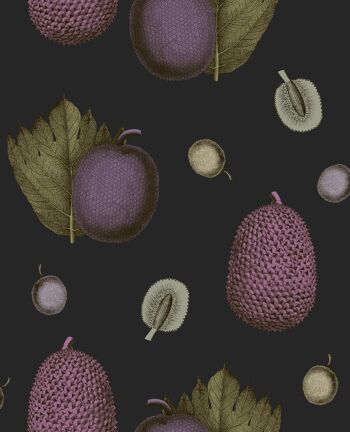 Papier Peint Fruits Tropicaux - Figue - Échantillon