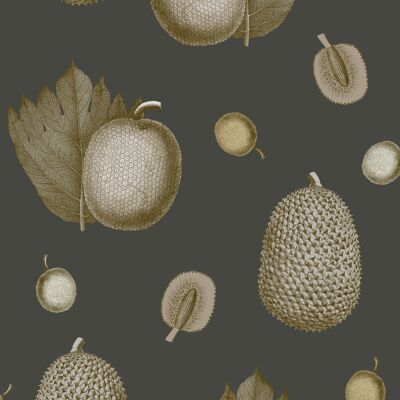 Tropical Fruit Wallpaper - Dragonfruit - Sample