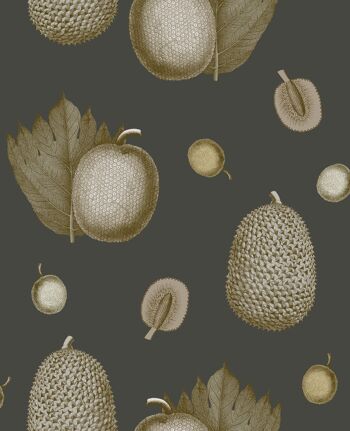 Papier Peint Fruits Tropicaux - Dragonfruit - rouleau