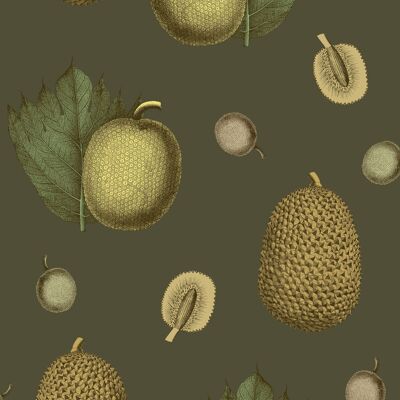 Tropical Fruit Wallpaper - Olive - roll