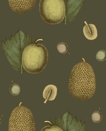 Papier Peint Fruits Tropicaux - Olive - rouleau