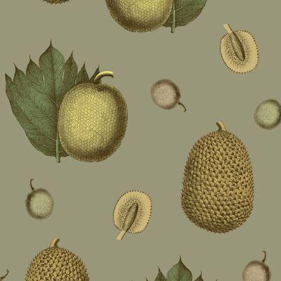 Papier Peint Fruits Tropicaux - Papaye - Échantillon
