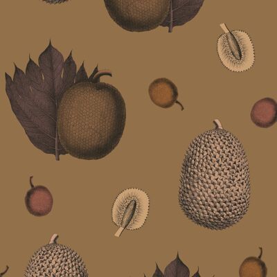 Papier Peint Fruits Tropicaux - Cacao - Échantillon