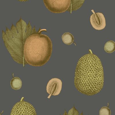 Tropical Fruit Wallpaper - Apricot - Sample