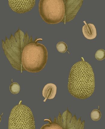 Papier Peint Fruits Tropicaux - Abricot - rouleau
