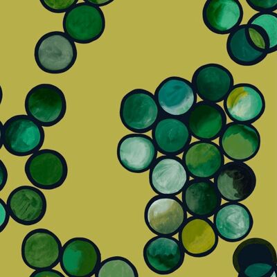 Ombré Circle Wallpaper – Zitrone & Smaragd – Rolle