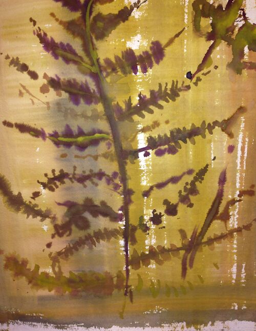 Pressed Fern Watercolour - Unframed