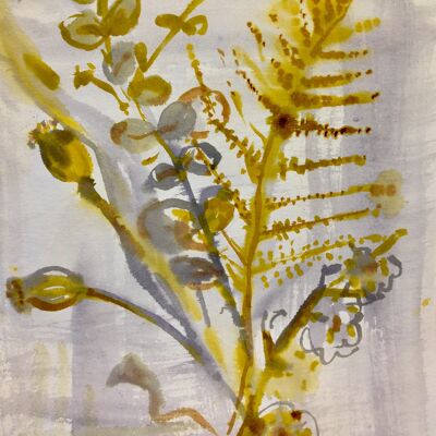 Ferns Watercolour Painting - framed