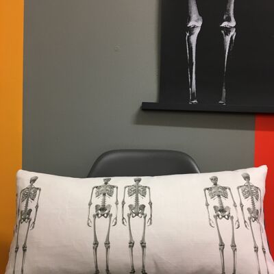 Dem Bones Cushion