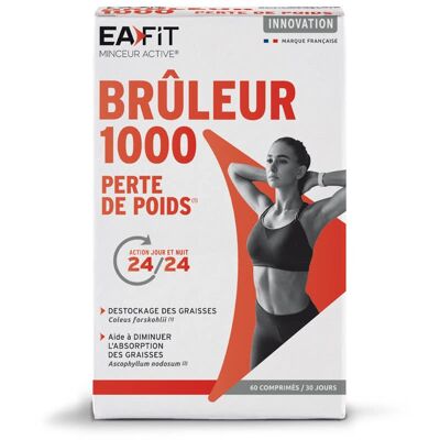 Brûleur 1000