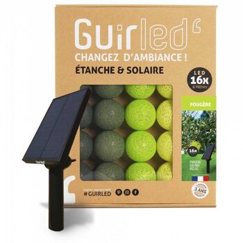 Fougère Guirlande lumineuse extérieure étanche & solaire boules LED  - 16 boules 1
